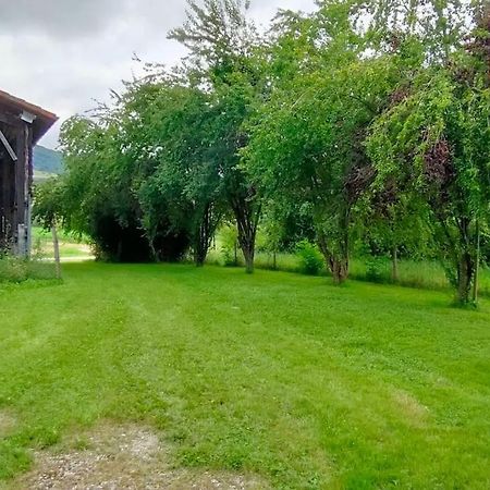 Superbe Demeure Au Coeur Des Pyrenees Ariegeoises Villa Montels  Dış mekan fotoğraf